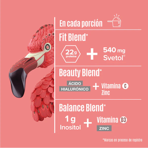 Fitmingo Proteina Moka 510g