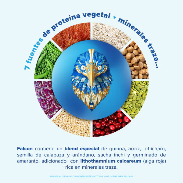 Falcon Proteina Vainilla 12 multipack